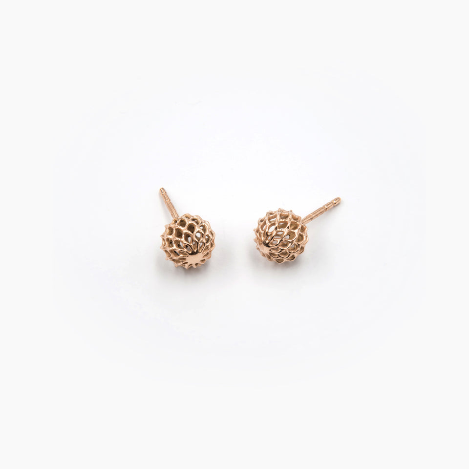 SIAN_Iva Stud Earrings