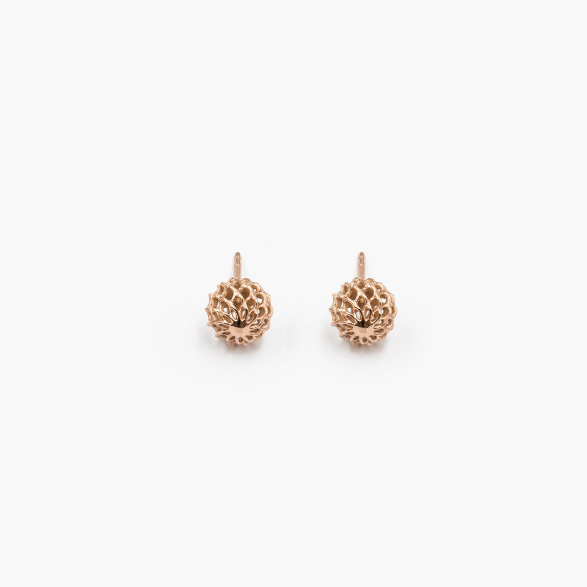 SIAN_Iva Stud Earrings_2