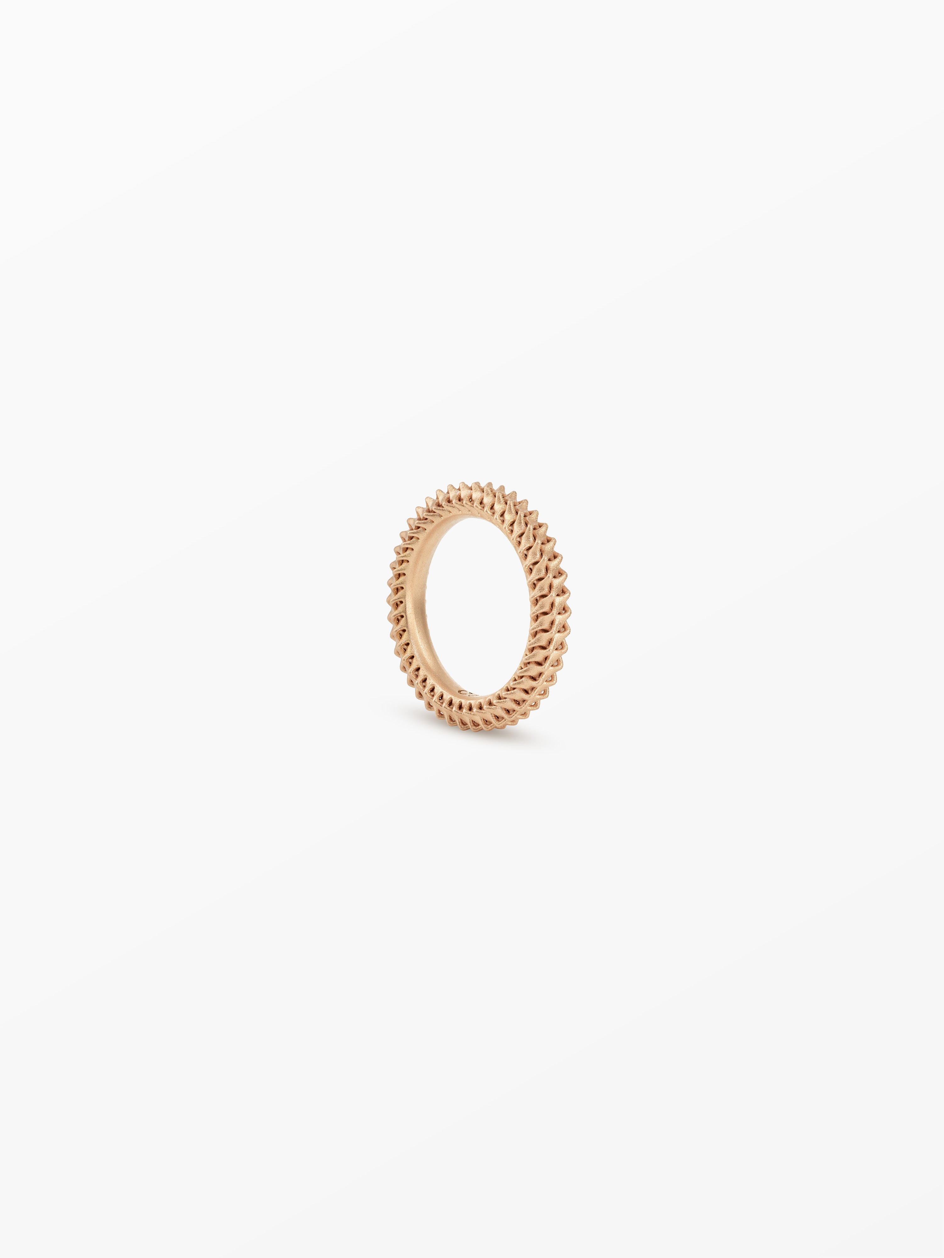 SIAN, product: Ina Ring (fig. 1)